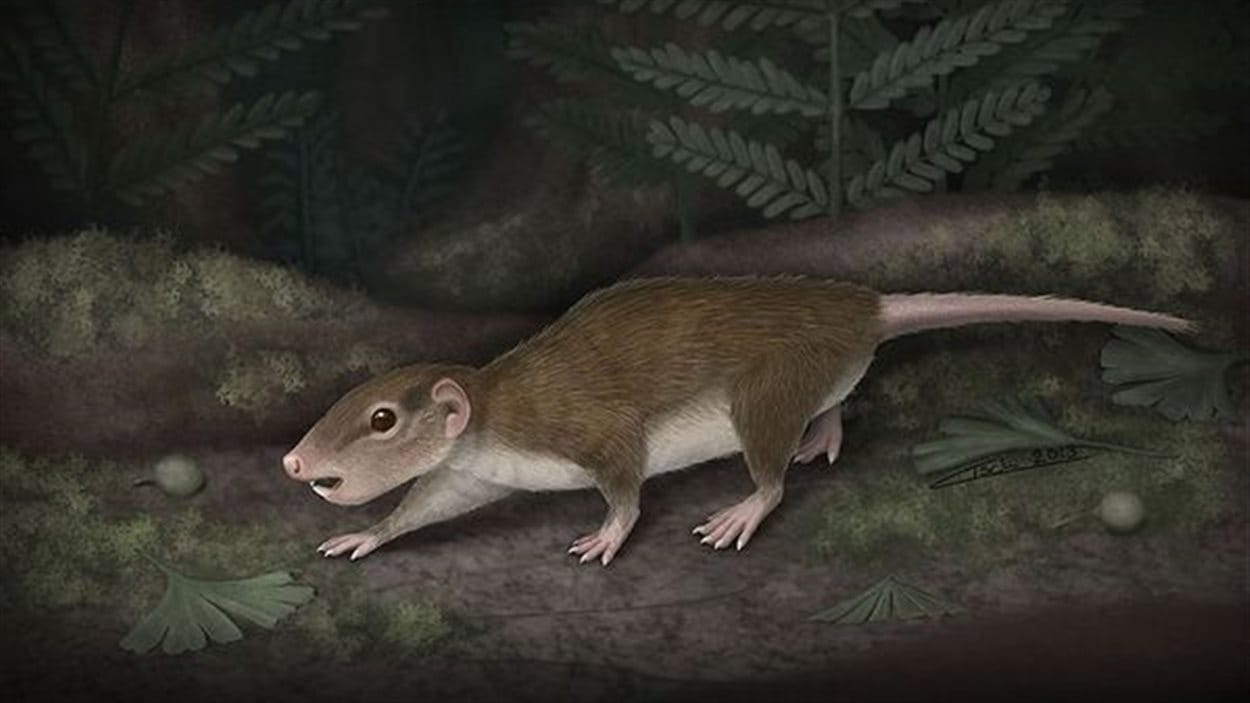 Illustration d'un mélodaire
